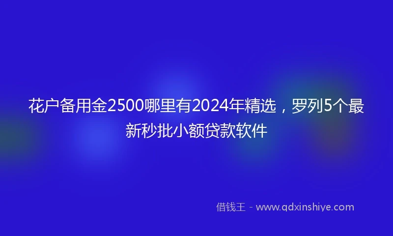 花户备用金2500哪里有2024年精选，罗列5个最新秒批小额贷款软件
