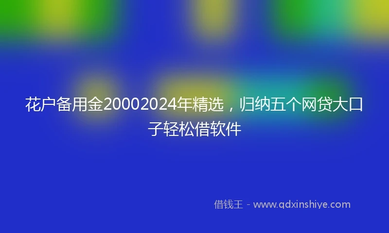 花户备用金20002024年精选，归纳五个网贷大口子轻松借软件