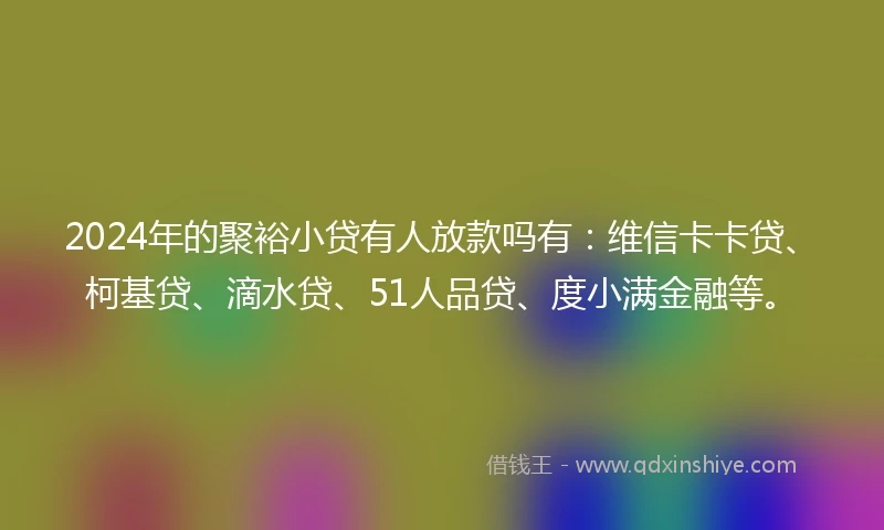 2024年的聚裕小贷有人放款吗有：维信卡卡贷、柯基贷、滴水贷、51人品贷、度小满金融等。