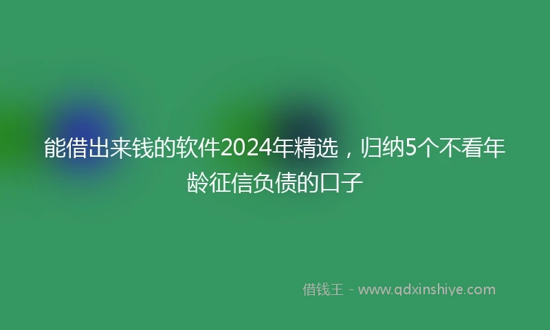 能借出来钱的软件2024年精选，归纳5个不看年龄征信负债的口子