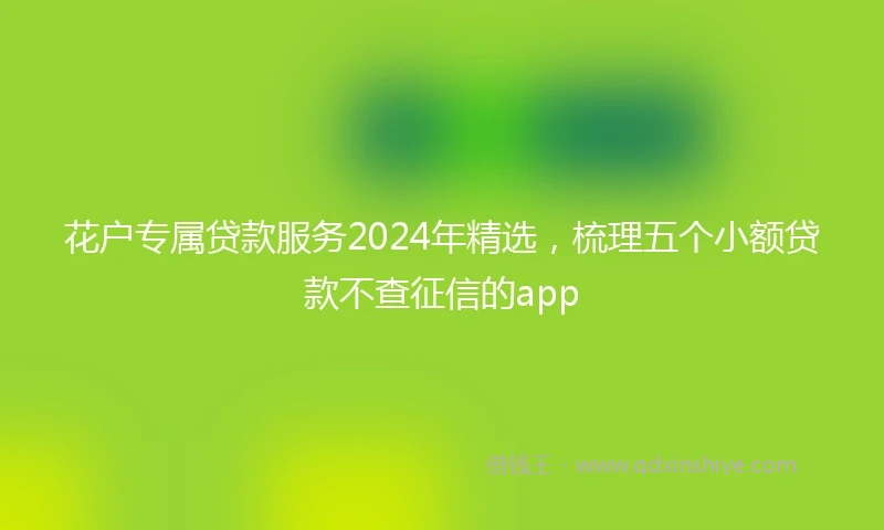 花户专属贷款服务2024年精选，梳理五个小额贷款不查征信的app