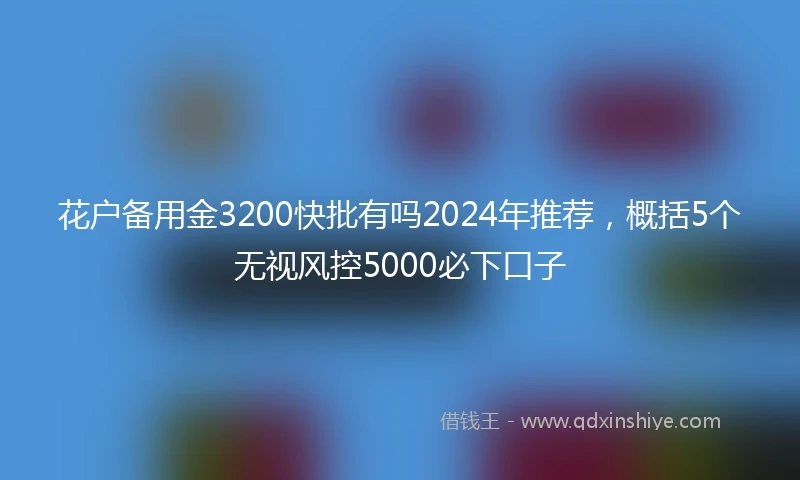 花户备用金3200快批有吗2024年推荐，概括5个无视风控5000必下口子