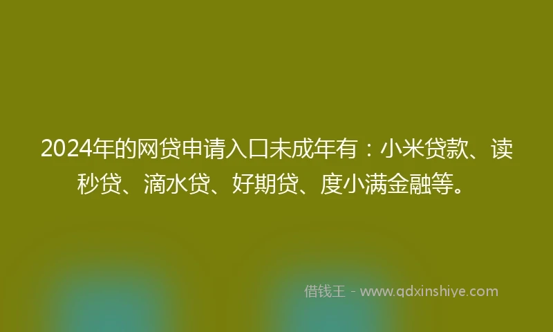 2024年的网贷申请入口未成年有：小米贷款、读秒贷、滴水贷、好期贷、度小满金融等。