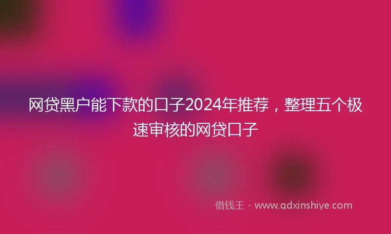 网贷黑户能下款的口子2024年推荐，整理五个极速审核的网贷口子