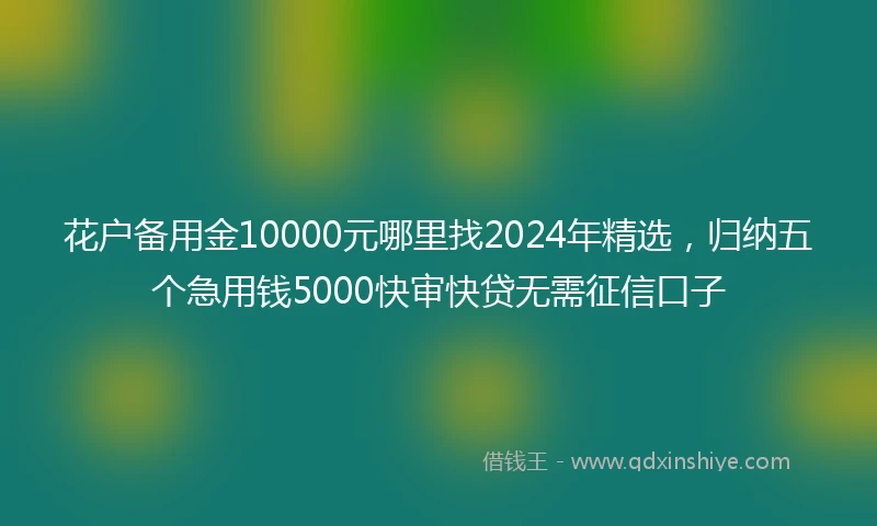 花户备用金10000元哪里找2024年精选，归纳五个急用钱5000快审快贷无需征信口子