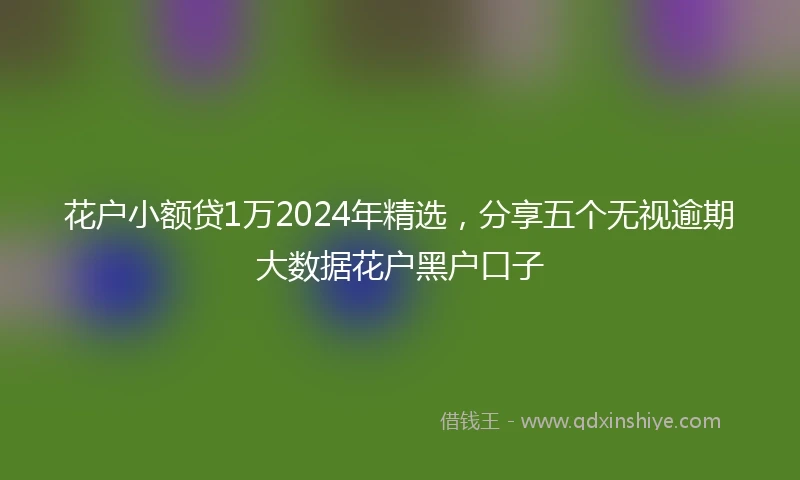 花户小额贷1万2024年精选,分享五个无视逾期大数据花户黑户口子