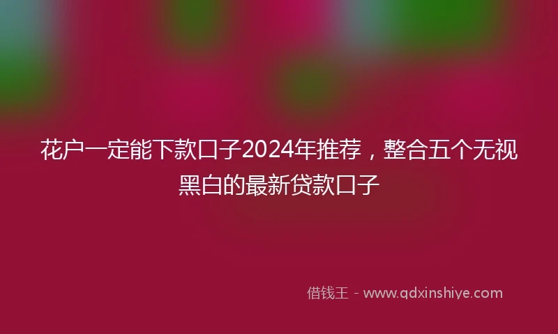花户一定能下款口子2024年推荐，整合五个无视黑白的最新贷款口子