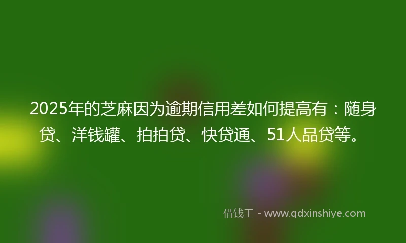2025年的芝麻因为逾期信用差如何提高有：随身贷、洋钱罐、拍拍贷、快贷通、51人品贷等。