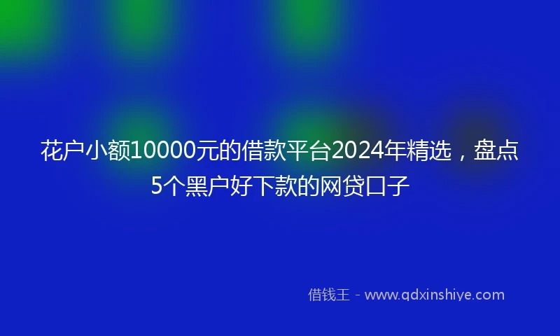 花户小额10000元的借款平台2024年精选，盘点5个黑户好下款的网贷口子