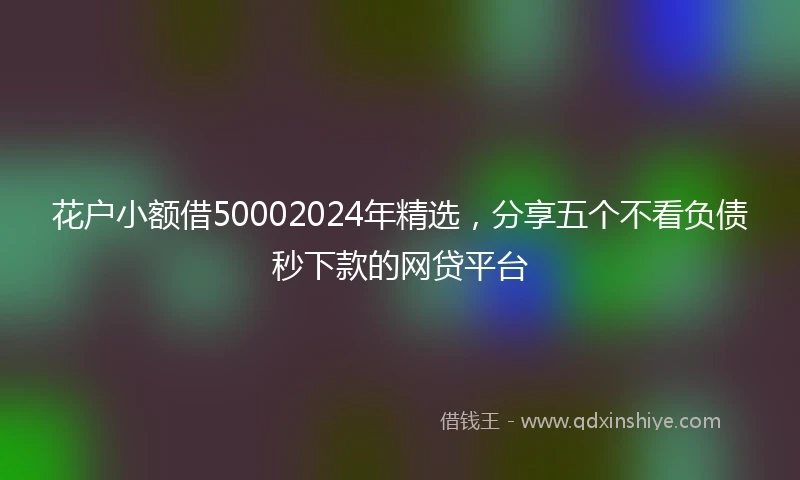 花户小额借50002024年精选，分享五个不看负债秒下款的网贷平台