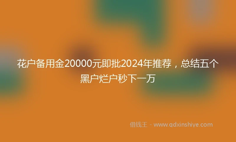 花户备用金20000元即批2024年推荐，总结五个黑户烂户秒下一万