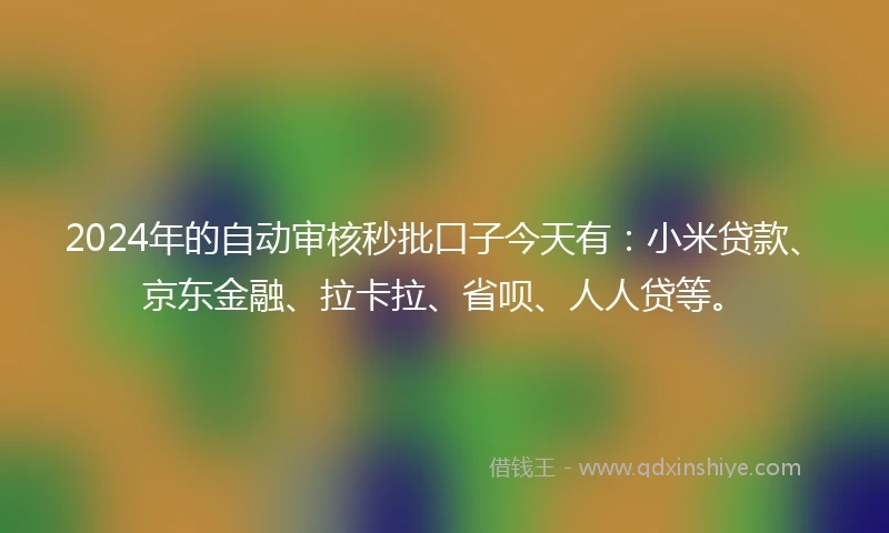 2024年的自动审核秒批口子今天有：小米贷款、京东金融、拉卡拉、省呗、人人贷等。