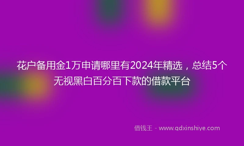 花户备用金1万申请哪里有2024年精选，总结5个无视黑白百分百下款的借款平台