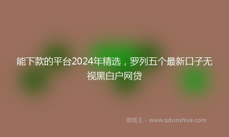 能下款的平台2024年精选,罗列五个最新口子无视黑白户网贷