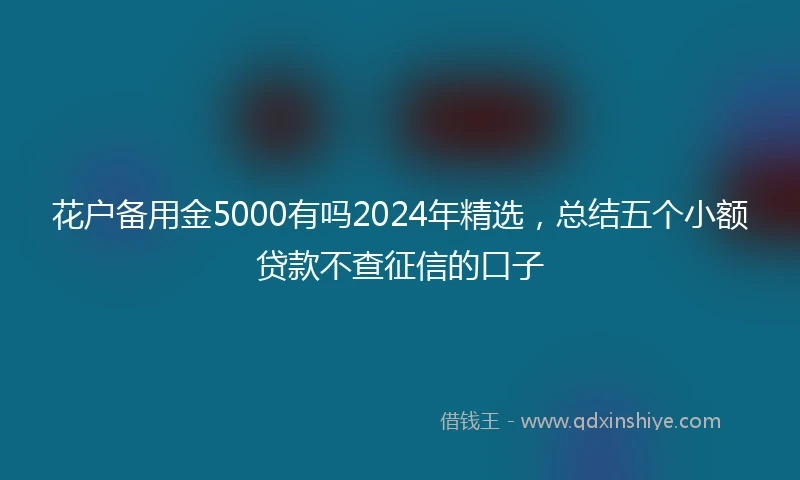 花户备用金5000有吗2024年精选,总结五个小额贷款不查征信的口子