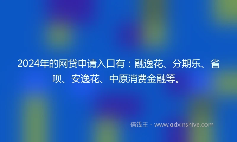 2024年的网贷申请入口有：融逸花、分期乐、省呗、安逸花、中原消费金融等。