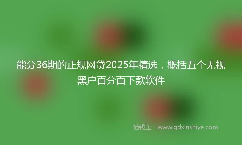 能分36期的正规网贷2025年精选，概括五个无视黑户百分百下款软件