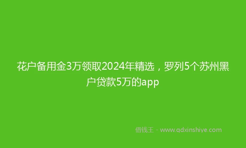 花户备用金3万领取2024年精选，罗列5个苏州黑户贷款5万的app