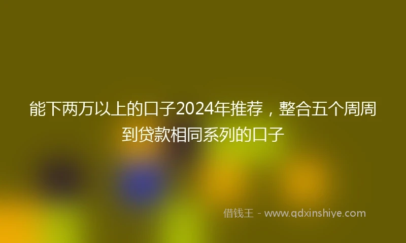 能下两万以上的口子2024年推荐，整合五个周周到贷款相同系列的口子