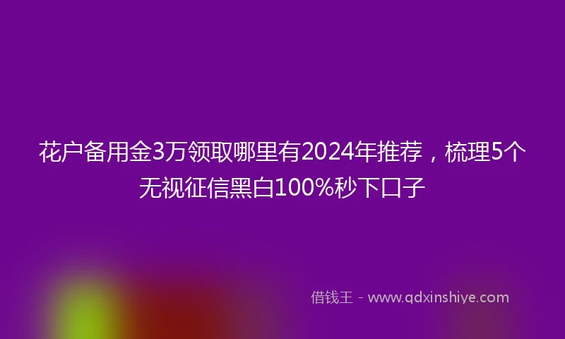 花户备用金3万领取哪里有2024年推荐，梳理5个无视征信黑白100%秒下口子