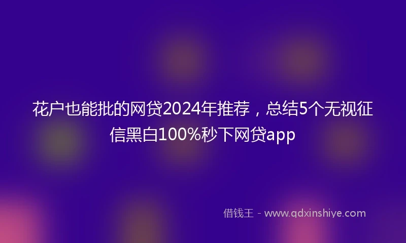 花户也能批的网贷2024年推荐，总结5个无视征信黑白100%秒下网贷app