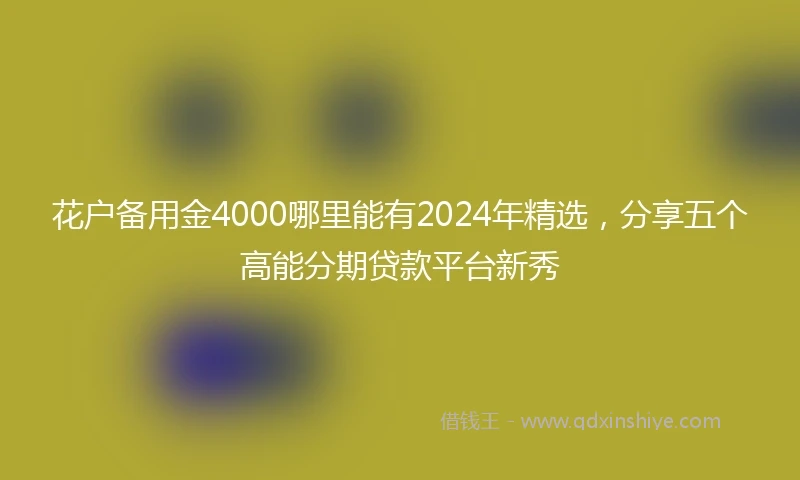 花户备用金4000哪里能有2024年精选，分享五个高能分期贷款平台新秀