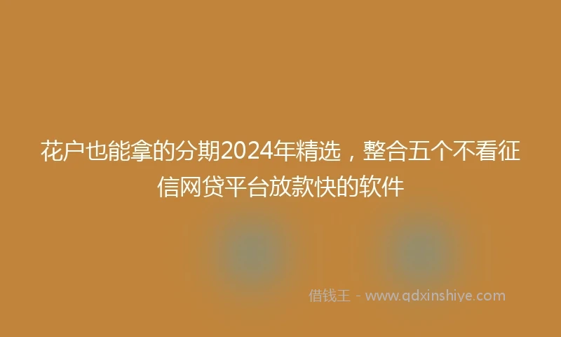 花户也能拿的分期2024年精选，整合五个不看征信网贷平台放款快的软件