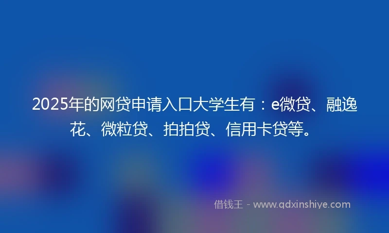 2025年的网贷申请入口大学生有：e微贷、融逸花、微粒贷、拍拍贷、信用卡贷等。