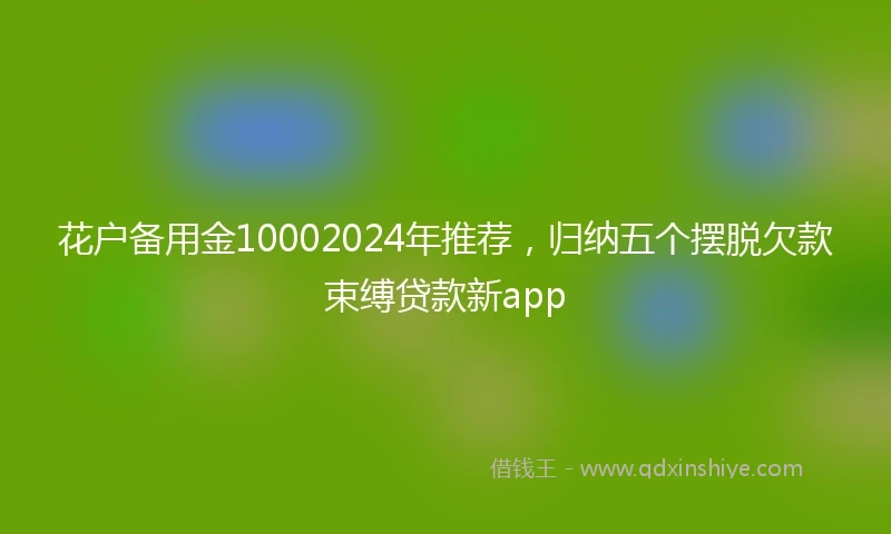 花户备用金10002024年推荐，归纳五个摆脱欠款束缚贷款新app