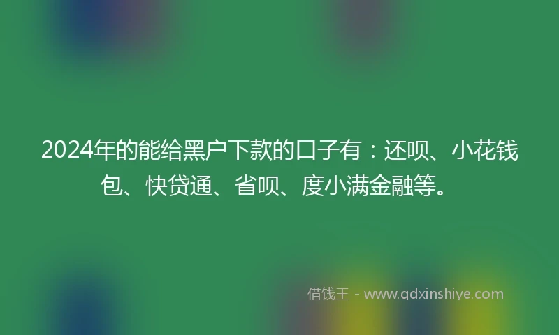 2024年的能给黑户下款的口子有：还呗、小花钱包、快贷通、省呗、度小满金融等。