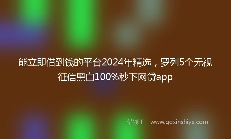能立即借到钱的平台2024年精选，罗列5个无视征信黑白100%秒下网贷app