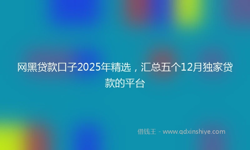 网黑贷款口子2025年精选，汇总五个12月独家贷款的平台