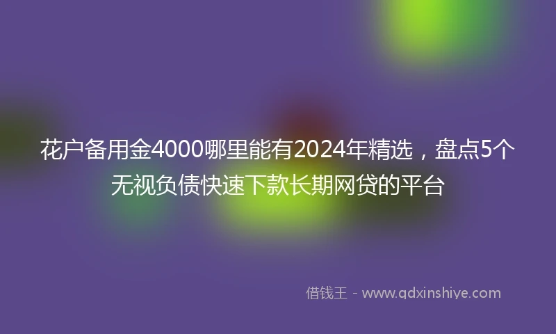 花户备用金4000哪里能有2024年精选，盘点5个无视负债快速下款长期网贷的平台