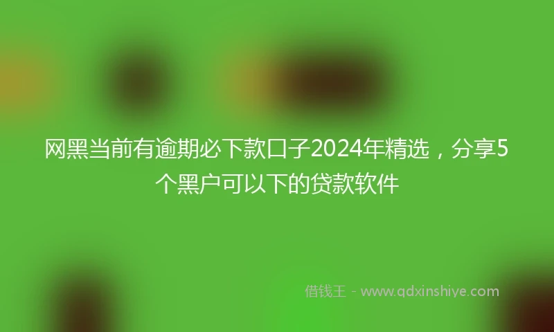 网黑当前有逾期必下款口子2024年精选，分享5个黑户可以下的贷款软件