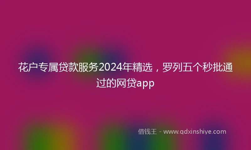 花户专属贷款服务2024年精选，罗列五个秒批通过的网贷app