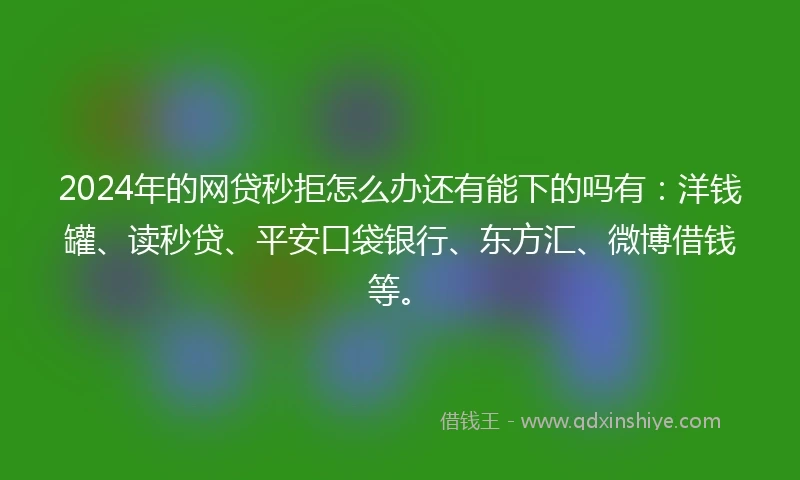 2024年的网贷秒拒怎么办还有能下的吗有：洋钱罐、读秒贷、平安口袋银行、东方汇、微博借钱等。
