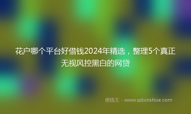 花户哪个平台好借钱2024年精选,整理5个真正无视风控黑白的网贷