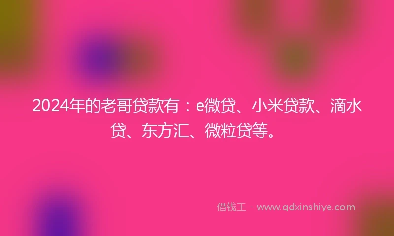 2024年的老哥贷款有：e微贷、小米贷款、滴水贷、东方汇、微粒贷等。