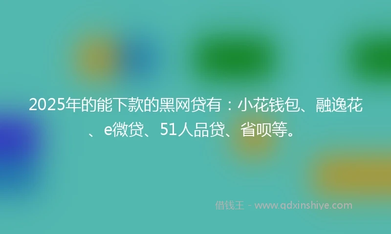 2025年的能下款的黑网贷有：小花钱包、融逸花、e微贷、51人品贷、省呗等。
