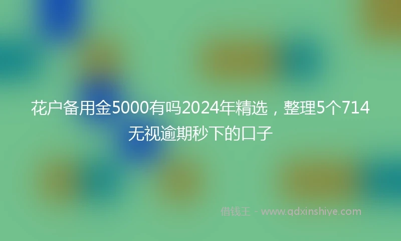 花户备用金5000有吗2024年精选，整理5个714无视逾期秒下的口子