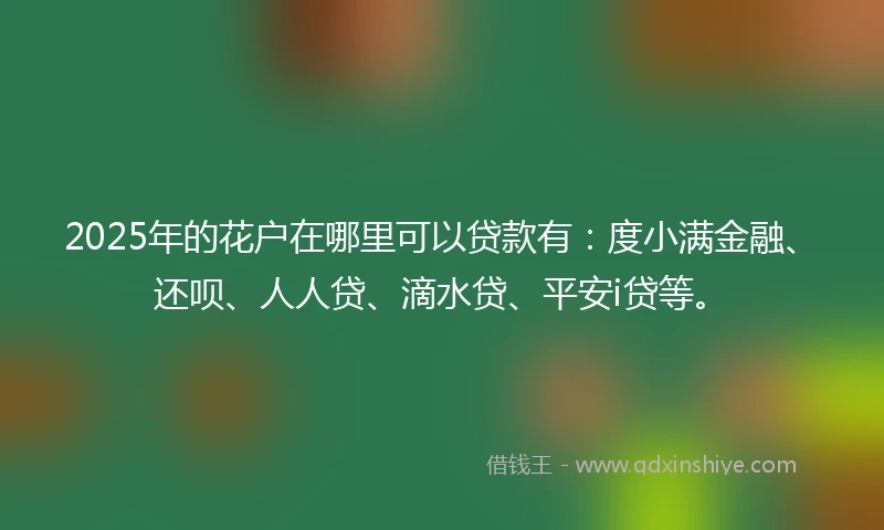2025年的花户在哪里可以贷款有：度小满金融、还呗、人人贷、滴水贷、平安i贷等。