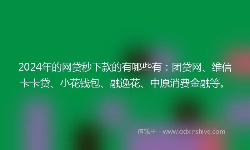2024年的网贷秒下款的有哪些有：团贷网、维信卡卡贷、小花钱包、融逸花、中原消费金融等。