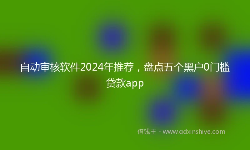自动审核软件2024年推荐，盘点五个黑户0门槛贷款app