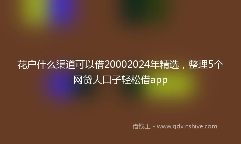 花户什么渠道可以借20002024年精选，整理5个网贷大口子轻松借app