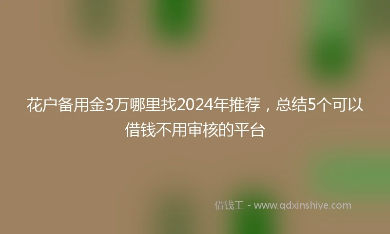 花户备用金3万哪里找2024年推荐，总结5个可以借钱不用审核的平台