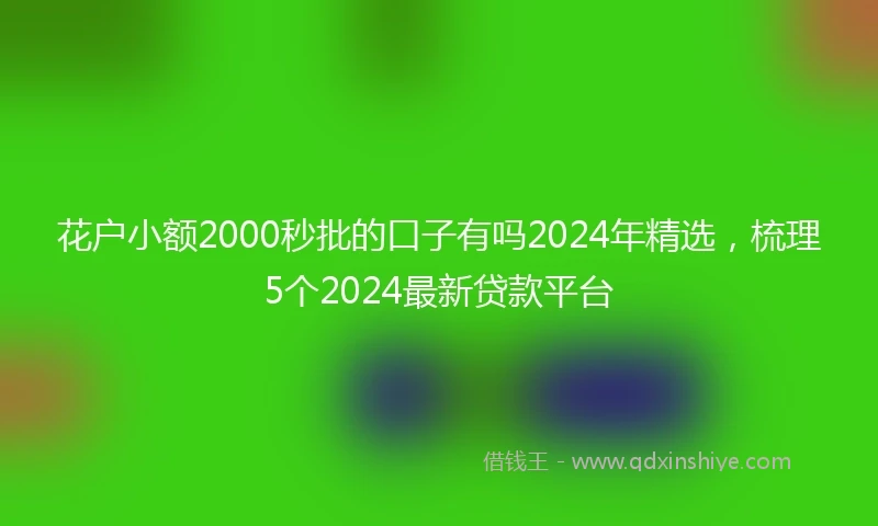 花户小额2000秒批的口子有吗2024年精选，梳理5个2024最新贷款平台