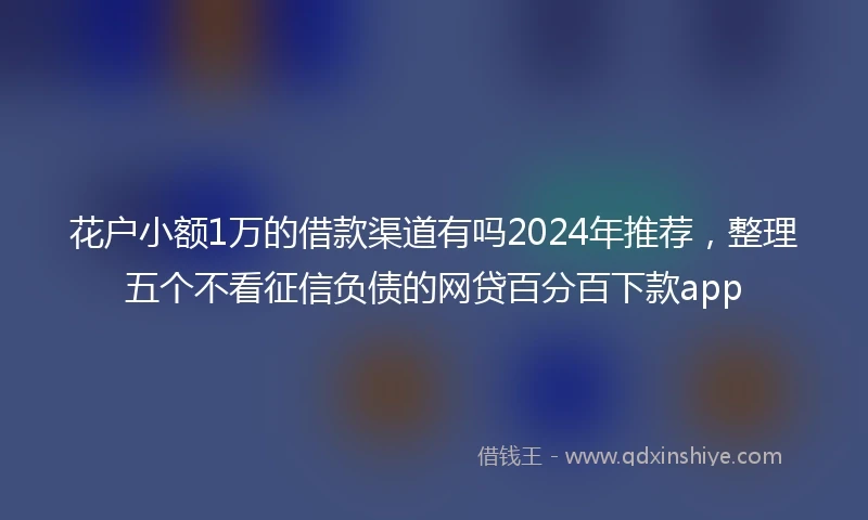 花户小额1万的借款渠道有吗2024年推荐,整理五个不看征信负债的网贷百分百下款app