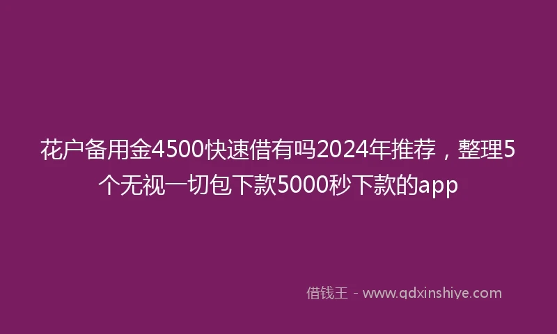 花户备用金4500快速借有吗2024年推荐，整理5个无视一切包下款5000秒下款的app