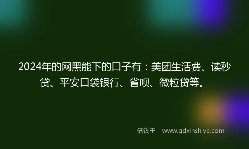 2024年的网黑能下的口子有：美团生活费、读秒贷、平安口袋银行、省呗、微粒贷等。