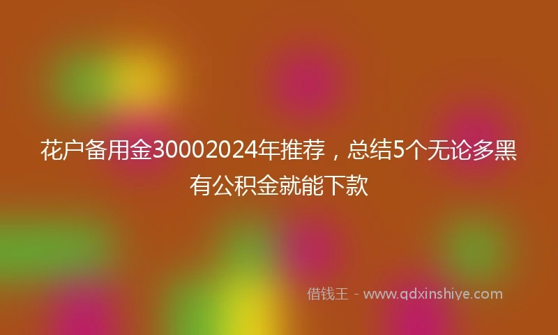 花户备用金30002024年推荐，总结5个无论多黑有公积金就能下款